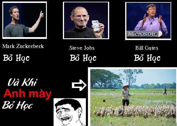 đang học mà bỏ thì liệu có tốt